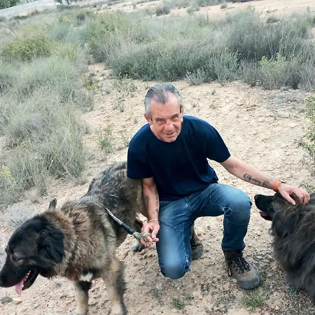 Frühstückspension Recovery Mountain 2*